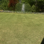 Lawn Maintenance