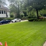 Lawn Maintenance