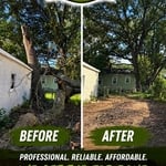 Tree removal job