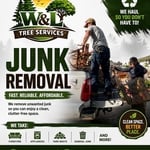 Tree removal job