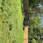 Lawn care