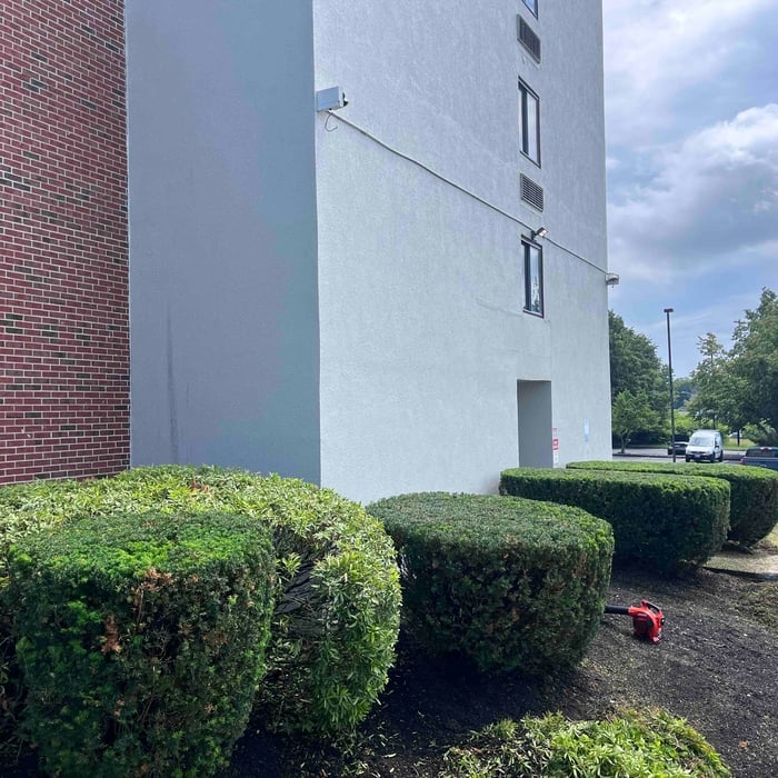 DMC tree Service