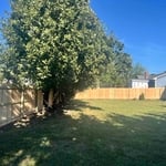 Wood fence install