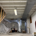 Mold Remediation