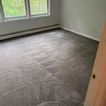 Carpet & Upholstery