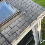 Gutters Cleaning