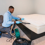 Insight Pest Solutions