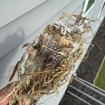 Dryer rescue