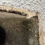 Mold remediation
