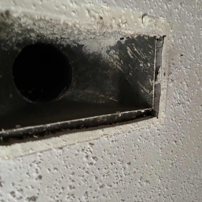 Mold remediation