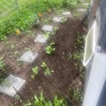 Flower beds