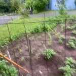 Flower beds