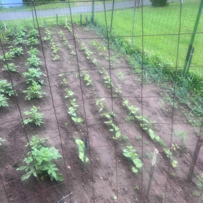 Flower beds
