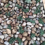 Front Flowerbed Overhaul
