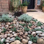 Front Flowerbed Overhaul
