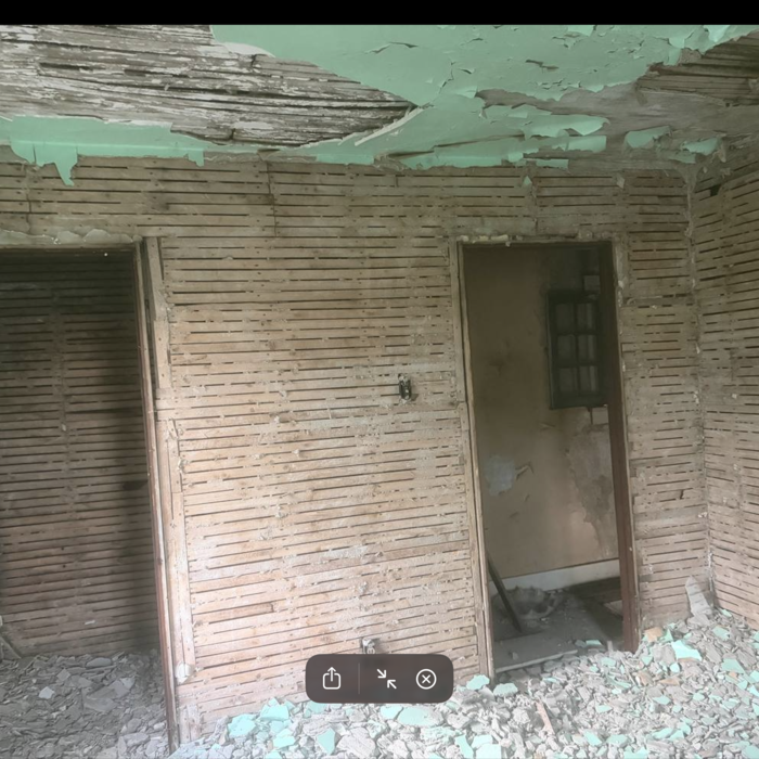 Plaster Removal