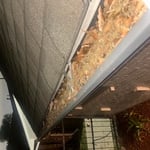 Cleaning Gutters