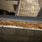Cleaning Gutters