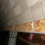 Cleaning Gutters