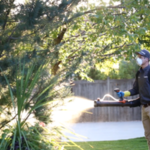 Pest Control Services