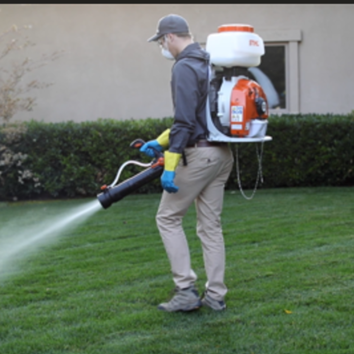 Pest Control Services