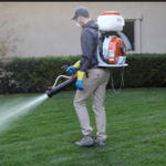 Pest Control Services