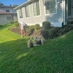 Garden bed Makeover