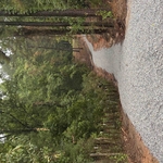 Access Road to Barn