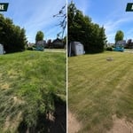 Lawn Services