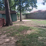 Mowing and Yard Clean-Up