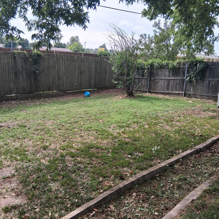 Mowing and Yard Clean-Up