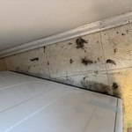 Laundry Room Deep Clean
