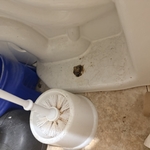 Bathroom Deep Cleanings