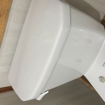 Bathroom Deep Cleanings
