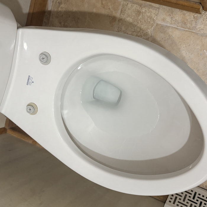 Bathroom Deep Cleanings