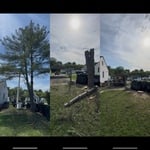 Tree Removal