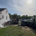 Tree Removal