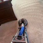 Carpet cleaning