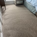 Carpet cleaning