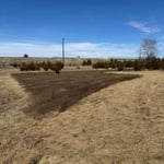 Food Plot