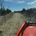 Brush Mowing
