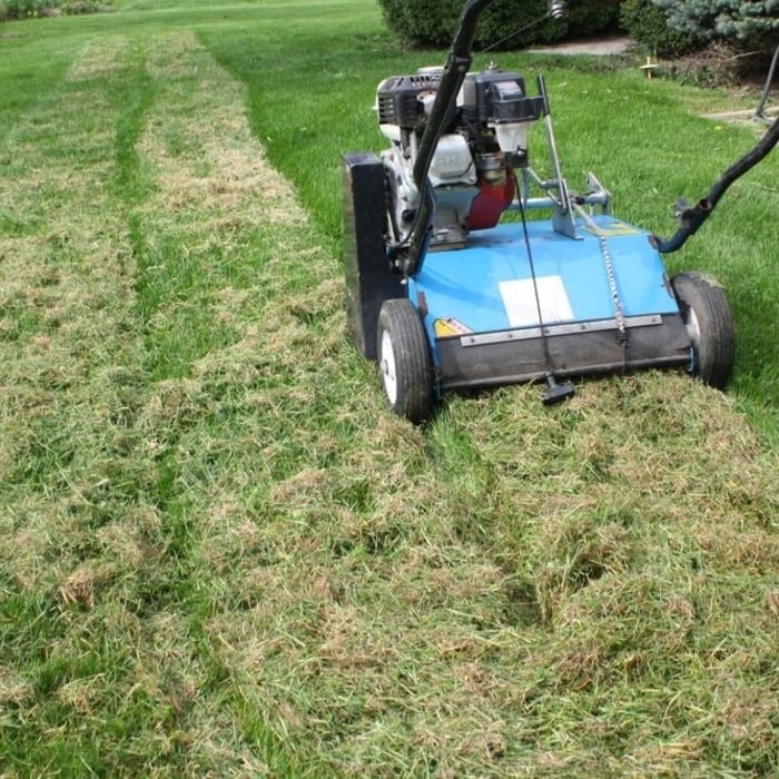 Lawn Dethatching