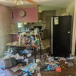 Junk removal