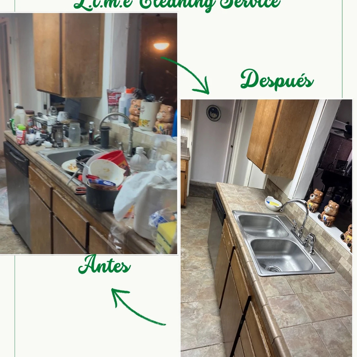Full house remodel
