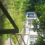 Yard cleanup
