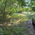 Yard cleanup