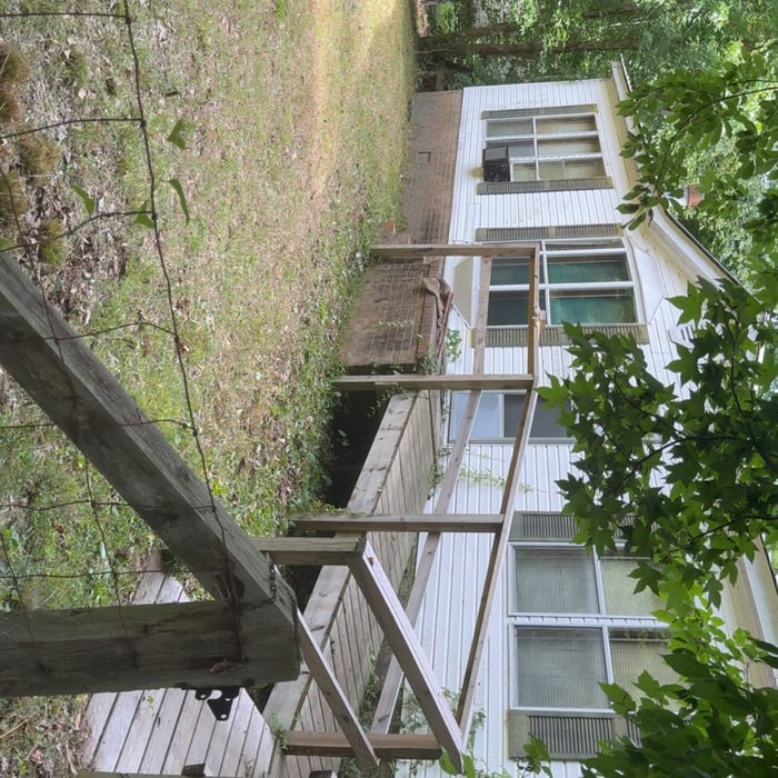 Yard cleanup