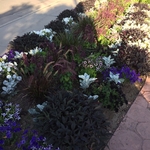 Flower Bed Work