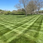 This was first cut.