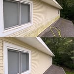 Exterior Cleaning